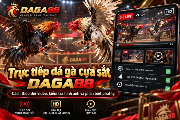Trực tiếp đá gà cựa sắt DAGA88 với hai chiến kê đối đầu, giao diện xem video HD và chức năng phân biệt phát trực tiếp với phát lại.
