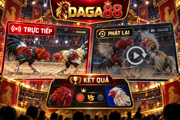 Video đá gà cựa dao DAGA88 minh họa sự khác biệt giữa phát trực tiếp, phát lại và bảng thông tin kết quả trận đấu.
